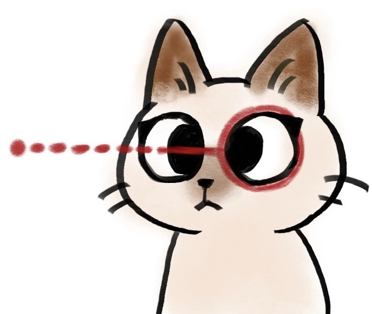 User Interest